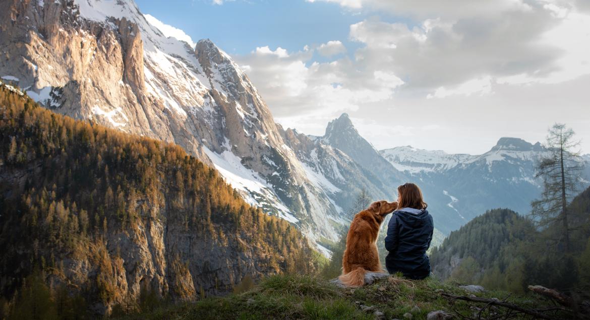 banner of Dog Lovers Can't Help But Travel To These Destinations