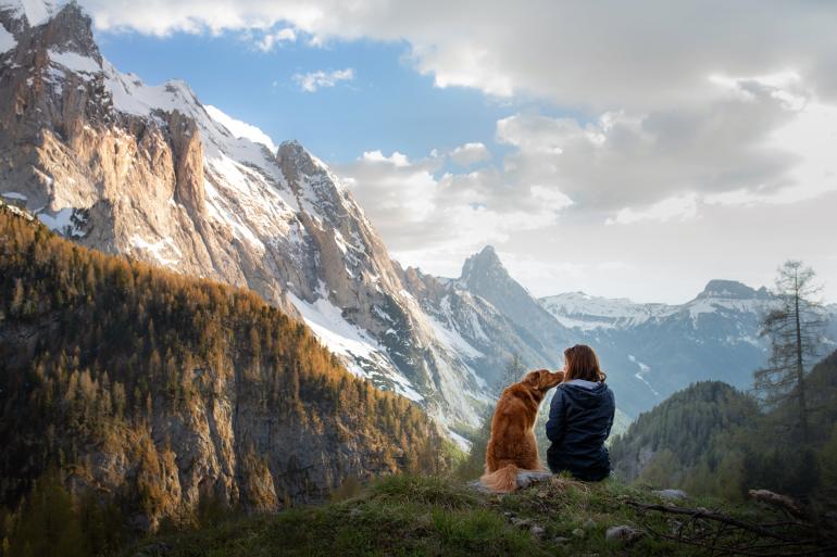 main of Dog Lovers Can't Help But Travel To These Destinations