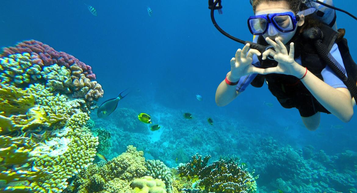 banner of A Scuba Diving Vacation Allows for Adventure