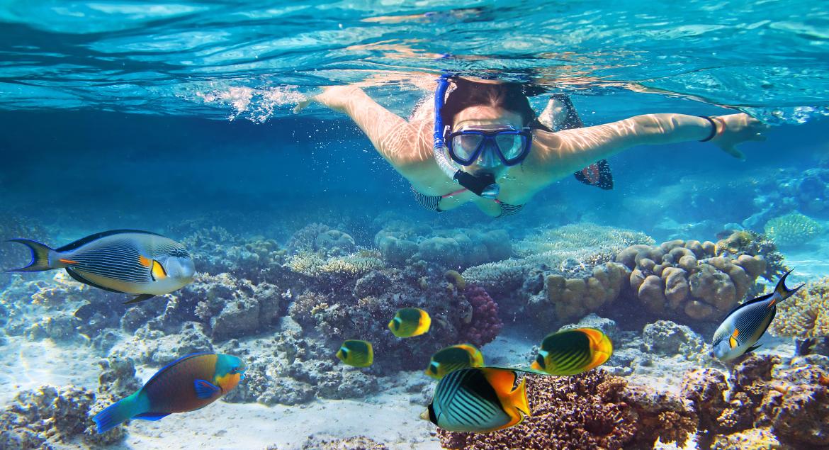 banner of Snorkel Diving Offers a New Way to Look At the World on Vacation