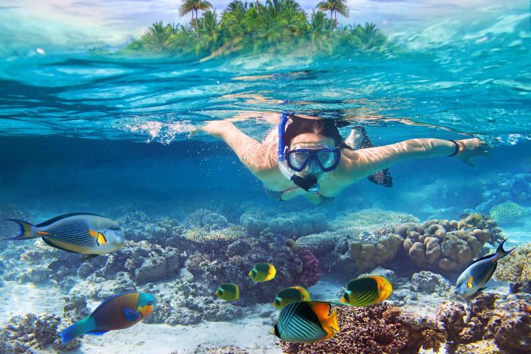 main of Snorkel Diving Offers a New Way to Look At the World on Vacation